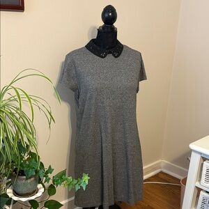 LOFT Gray Mini Dress with Black Collar